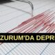 Peş peşe depremler! Adana'nın ardından Erzurum'da da şiddetli sarsıntı hissedildi