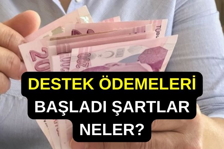 Destek Ödemeleri Arttı! 75 Bin TL'ye Yükseldi! SGK Girişi Olanlara Müjde