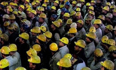 Taşeron İşçilere Kadro Müjdesi! 2. Torba Yasa ile 100 Bin İşçiye Kadro Yolu Açılıyor