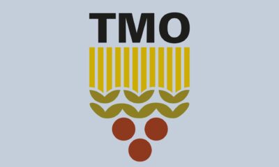 TMO Az Evvel Açıkladı! Çiftçilere Müjdemiz Var: 1000 ve 500 TL NAKİT PARA Desteği