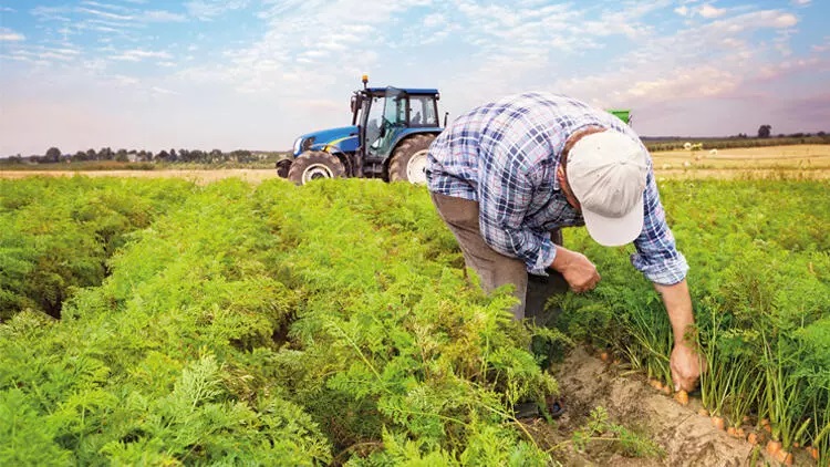 Çiftçilerin Yüzünü Güldürecek Haber: Temmuz Ayı Tarımsal Destek Ödemeleri Hesaplara Yatırıldı!