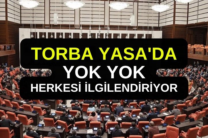 Meclis'ten Geçen Torba Yasa'da Neler Var! Maaş Zammı, Erken Emeklilik, Staj Sigortası, Sicil Affı!