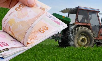 Çiftçilerin YÜZÜNÜ GÜLDÜRECEK HABER! Gübre ve Mazot Desteğinde Yeni Gelişme! Bakanlık Ödemeyi Hesaplara Yatırdı