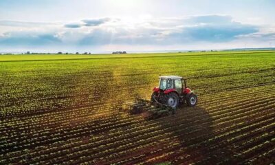 Çiftçilere MÜJDELİ HABER Geldi! Yeni Destek Ödemeleri! Başvurular Açıldı: Bu Tarihe Kadar Başvuranlara Ödeme Yapılacak