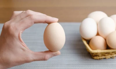 Yumurtanında Tadı Kaçtı! Fiyatları Bir Yılda İkiye Katlandı: Marketlerde 120 Liraya Kadar Çıkıyor