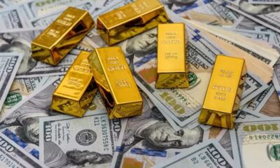 Ekonomi Uzmanı Hatice Kolçak'tan altın ve dolardan büyük paralar kazanma tüyosunu açıkladı! Bunu yapanlar yüksek paralar kazanacak
