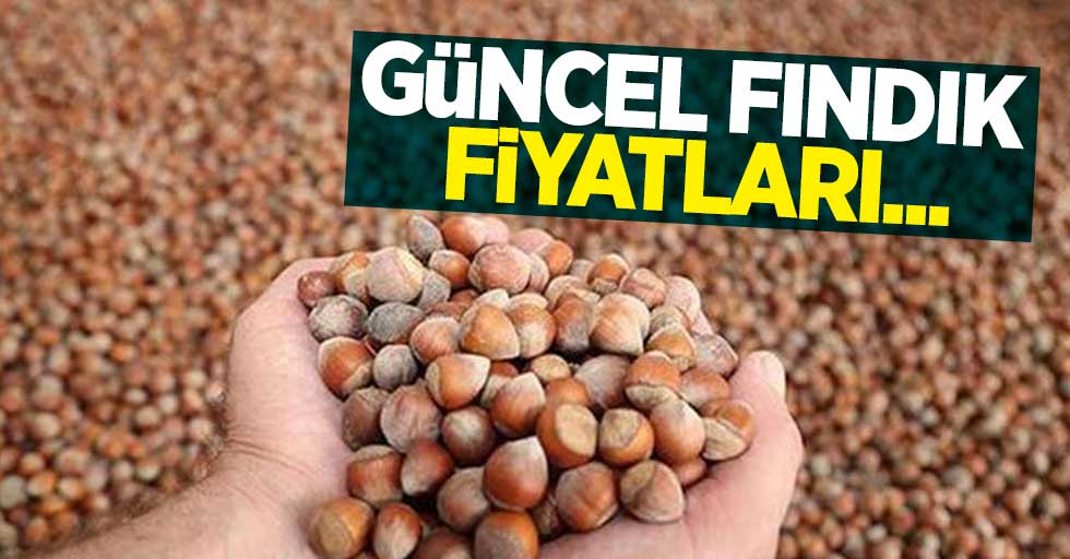 Fındık Piyasasında Yükseliş Trendi: 30 Eylül Güncel Fındık Fiyatları Belirlendi.