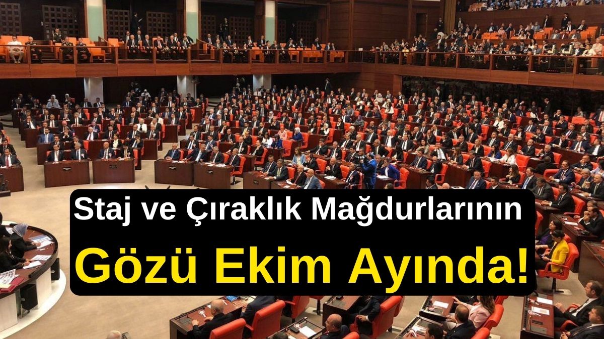 Staj ve Çıraklık Mağdurlarının Gözü Ekim Ayında! Staj ve Çıraklık Sigortası İçin Önemli Açıklama