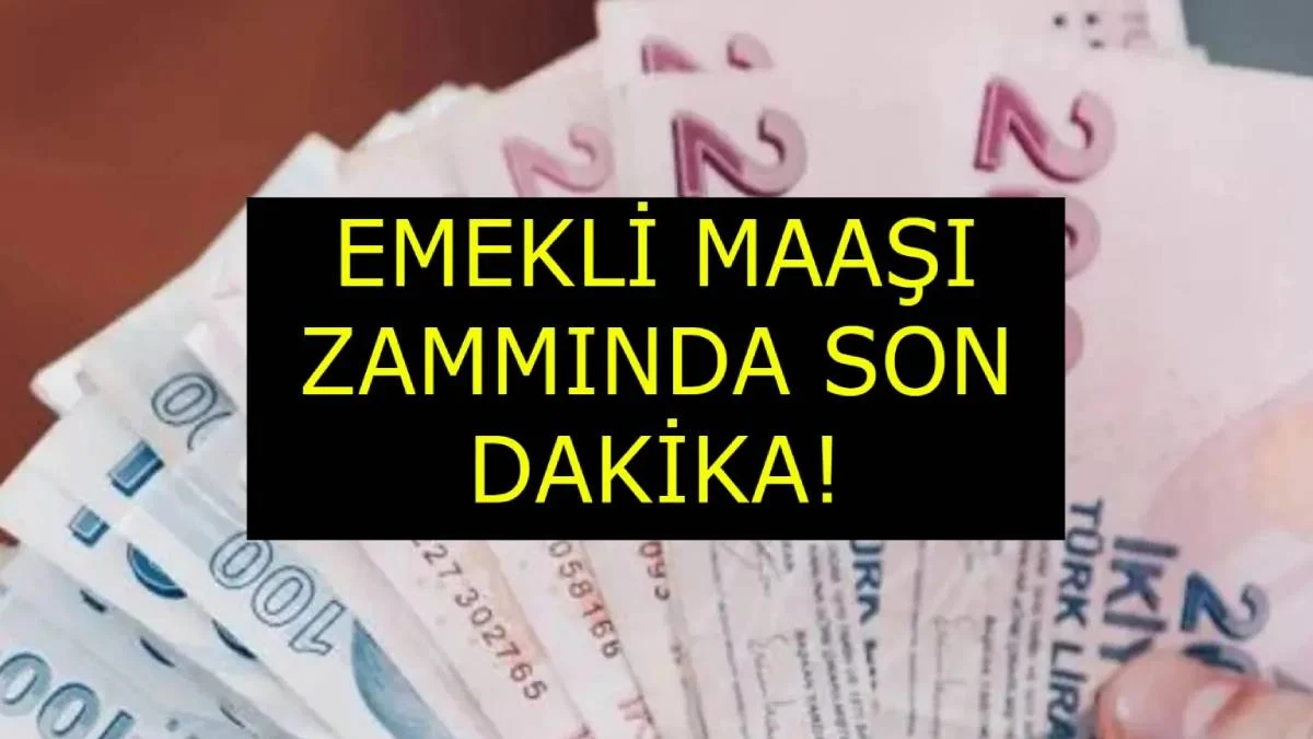 Emekli maaşları zam oranlarını uzman isim hesapladı! İşte Emekli Maaş Zamları