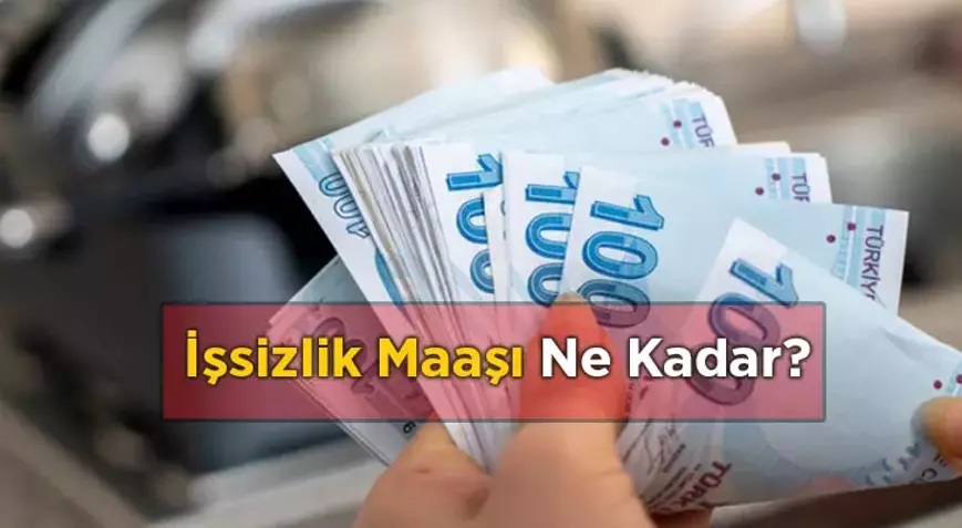 Devlet Maaş Bağlayacak! İşsiz Vatandaşlara 8 Ay Boyunca 10.731 TL Maaş Bağlanacak! Tek Şartı Var