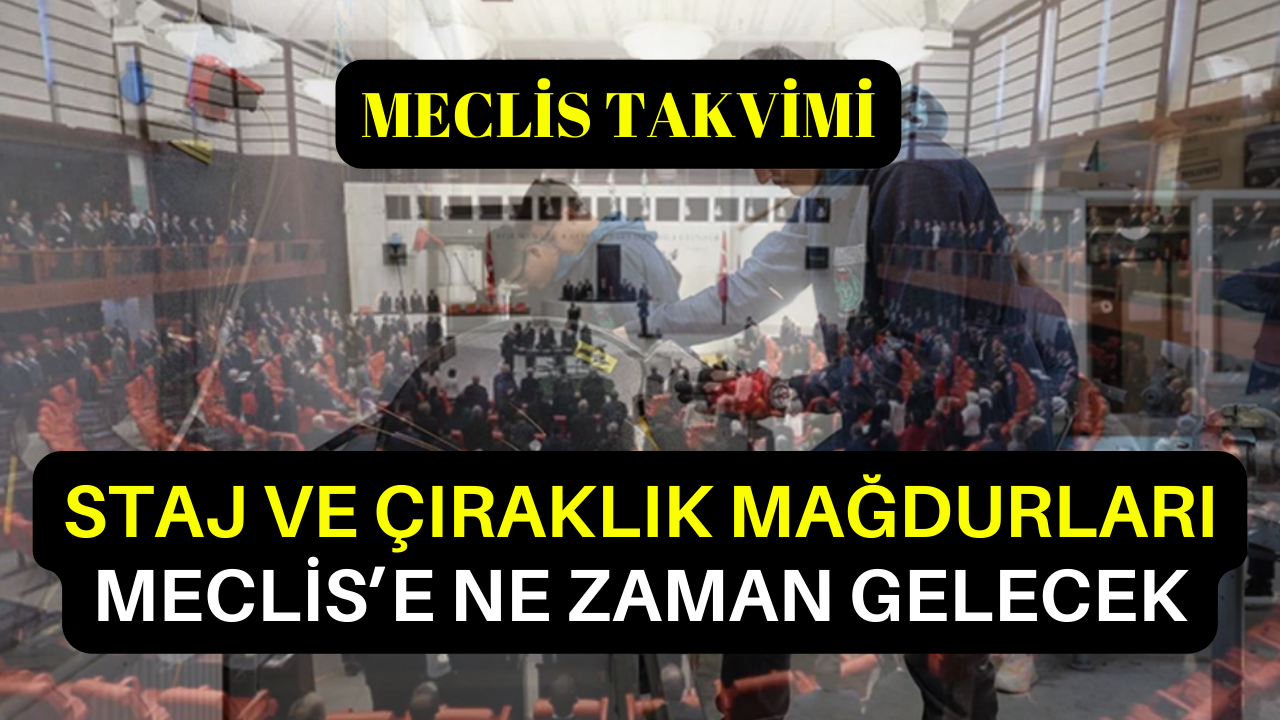 Staj ve Çıraklık Mağdurları Ne Zaman Meclis'e Gelecek?