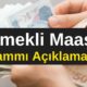Emekli Maaş Tepkisi! Gazeteci Ahmet Ünlü’den Emekli Maaş Zammı Açıklaması! Emekli Maaşı Eriyor