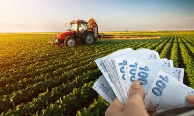 Çiftçi Desteği Yüzde 150 Zam! Tarım Bakanlığı Açıkladı! Tarımsal Destek Ödemelerine Zam