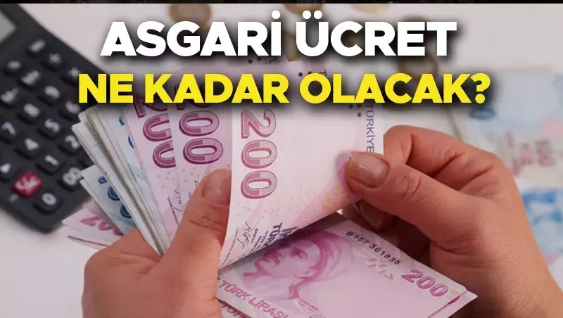 Asgari Ücret 17.500 TL Olacak! Özgür Erdursun'dan Asgari Ücret Açıklaması