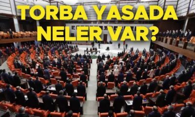 Yeni Torba Yasa Maddeleri! Faizsiz Evlilik Kredisi, Genel Af, Memur ve Emekli Maaş Zammı, Taşerona Kadro ve Daha Fazlası