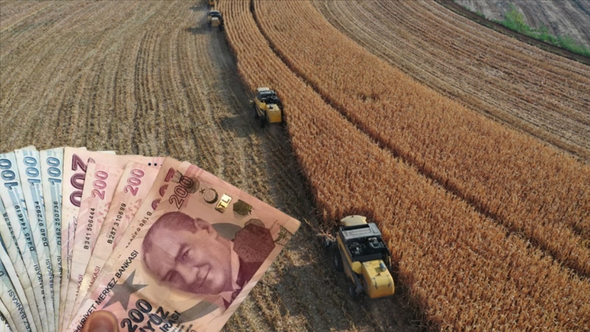 Tarımsa Destek Ödemeleri Hesaplara Yattı! Çiftçilere Müjde! Paranız Hesabınızda