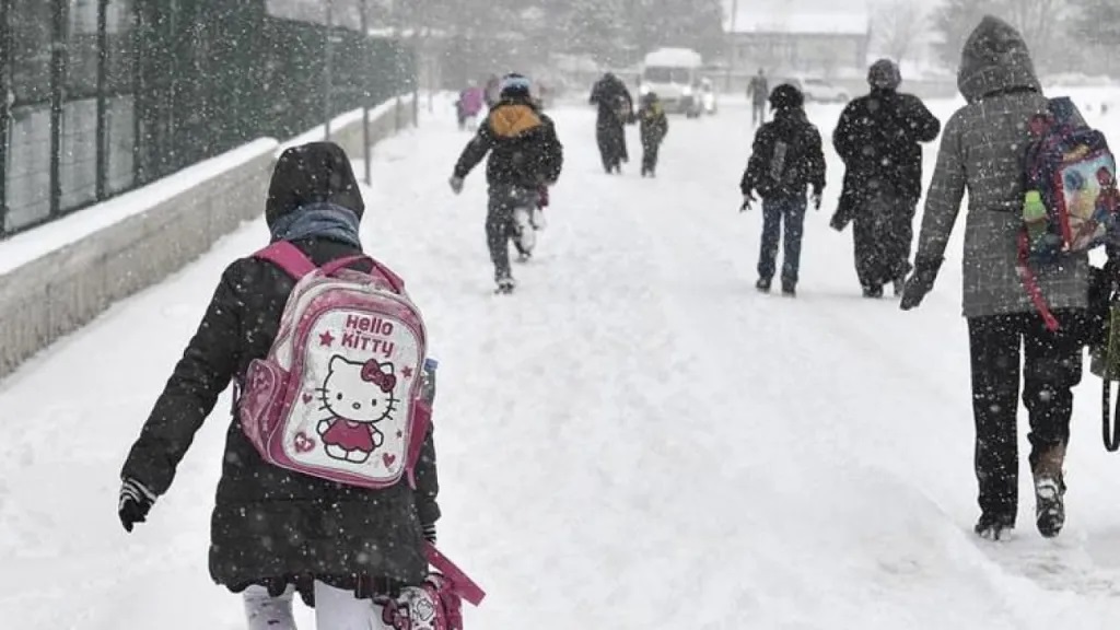 Lapa Lapa Kar Yağışı Türkiye'yi Kapladı! Okullar TATİL, Meteoroloji UYARDI