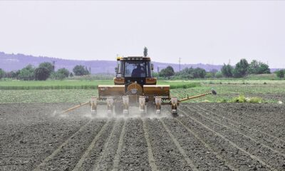 Çiftçilere Destek Ödemesi Yattı! Kasım Tarımsal Destek Ödemeleri Hesaplara Yattı