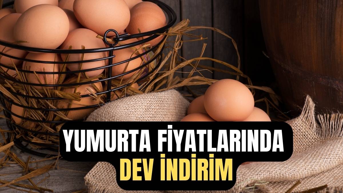 Tarım Kredi Marketlerinde Yumurta Fiyatlarından Büyük İndirim! Kapış Kapış Gidecek