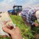 Tarımsal Destek Ödemeleri Hesaplara Yattı! Çiftçilere Müjde! Aralık 2024 Ödemelerinizi Çekebilirsiniz