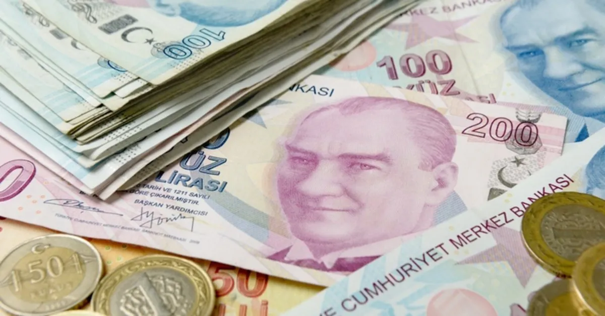 Ziraat Bankası'ndan Emeklilere Yeni Yıl Müjdesi Buymuş! Adınıza 100.000 TL'ye Kadar Ödeme Yatacak