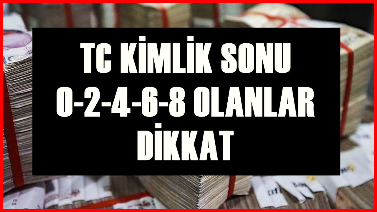 TEB Bankası TC Kimlik Son Rakamı 0-2-4-6-8 Olanların Hesabına 99.000 TL Verecek! 18 65 Yaş Arası Alabilir