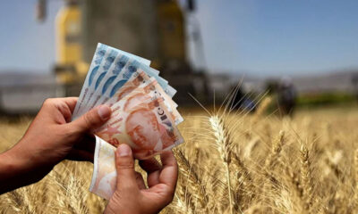 Tarım Bakanlığı Açıkladı! Çiftçiye 200 Milyon ve 320 Milyon TL Ödeme Yatırıldı
