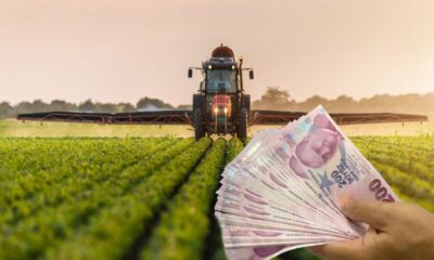 Tarım Bakanlığı Destek Ödemelerini Yatırmaya Başladı! Çiftçilere Tohum, Gübre, Yonca Desteği
