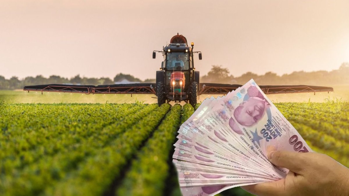 Tarım Bakanlığı Destek Ödemelerini Yatırmaya Başladı! Çiftçilere Tohum, Gübre, Yonca Desteği