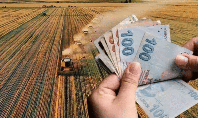 Çiftçilere Tarımsal Destek Ödemeleri Bugün Hesaplara Yatacak