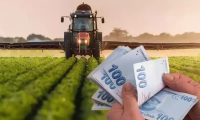 Tarımsal Destek Ödemeleri Yatmayı Başladı! Bakanlık Çiftçilere Desteğini Yatırdı