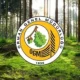 Orman Genel Müdürlüğü En Az Lise Mezunu Adaylar İçin Personel Alımı Yapacak