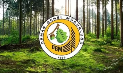 Orman Genel Müdürlüğü 110 Personel ve İşçi Alımı İçin İlan Yayınladı! Başvurular Açıldı