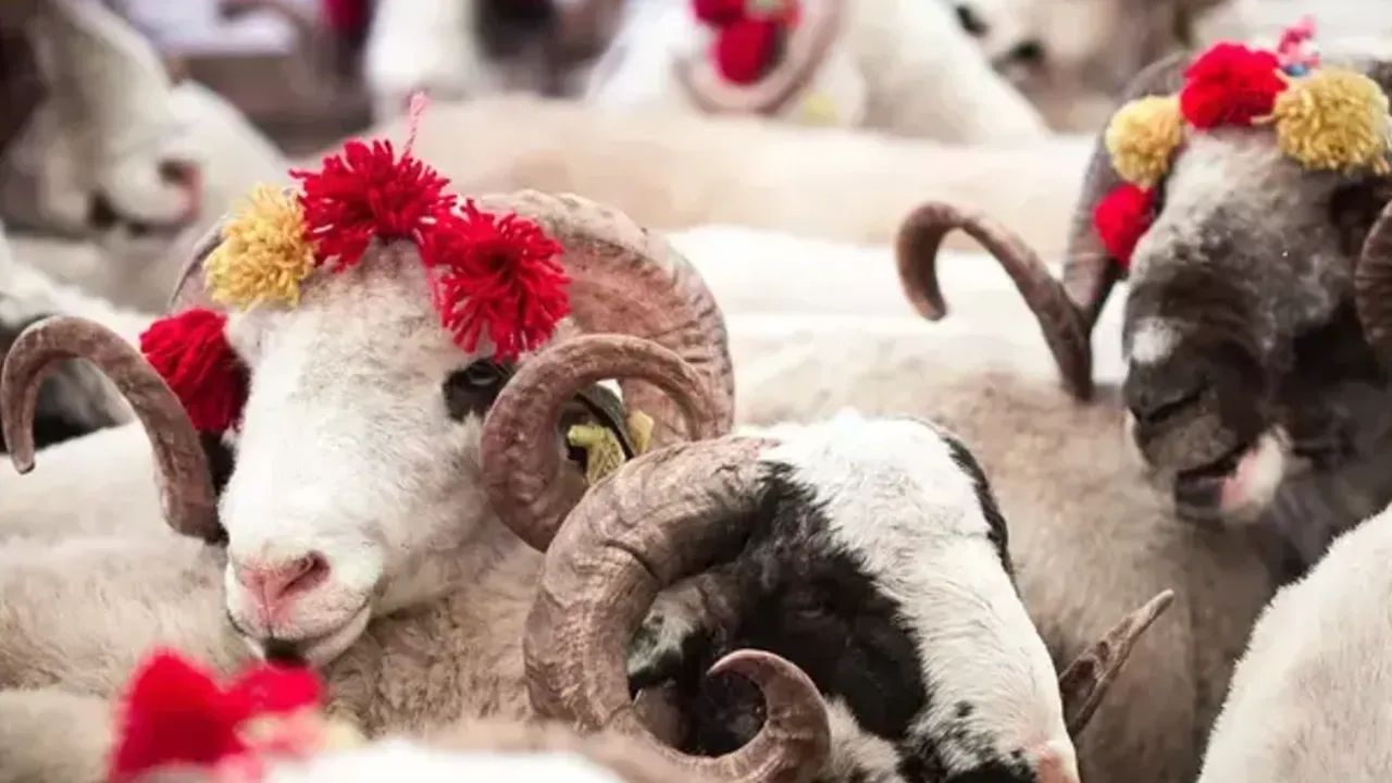 Kurban Bayramı Tatili Uzayacak mı? Gözler Kabine Toplantısında! İşte Merak Edilen Cevap