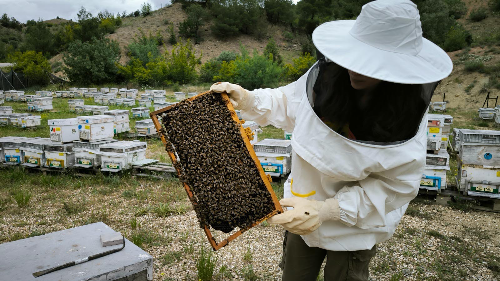 Milyonlarca Çalışanı İlgilendiren Kritik Tazminat Kararı! Yüklü Tazminat Alacaksınız