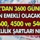 Sadece 3600 Primle Emeklilik Kapısı Açılıyor! O Kişiler EYT'siz Erken Emekli Olabilecek