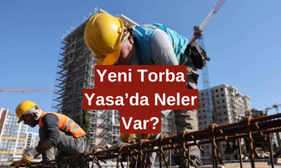 Taşerona Kadro Müjdesi! Torba Yasa 3600 Ek Gösterge, Bağkur Prim Eşitliği, TYP Kadro ve Dahası...