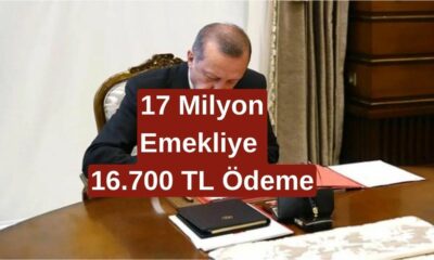 EMEKLİLER DİKKAT! 17 Milyon Emekliye Ek Ödeme 16.700 TL Olarak Açıklandı