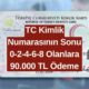 TC Kimlik Numarasının sonu 0-2-4-6-8 Olanlar 90.000 TL Ödeme Alacak