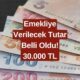 Emeklinin Alacağı Ödemeye Zam Geldi! Şart Yok, Başvuran Emekliye 30.000 TL Verilecek