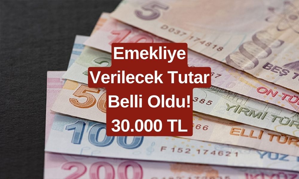 Emeklinin Alacağı Ödemeye Zam Geldi! Şart Yok, Başvuran Emekliye 30.000 TL Verilecek