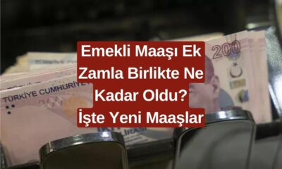 Güncel Emekli Maaşı Tablosu! Yapılan Zammından Ardından Hangi Emekli Kaç TL Alacak?