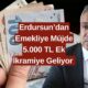 Emeklilere 5000 TL Ek İkramiye Müjdesi! Tarihi SGK Uzmanı Özgür Erdursun Duyurdu