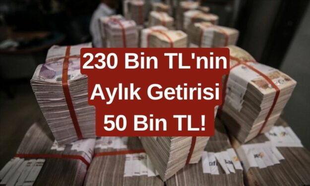 230 Bin TL'nin Aylık Getirisi 50 Bin TL! Fırsatı Kaçıran Pişman Olur