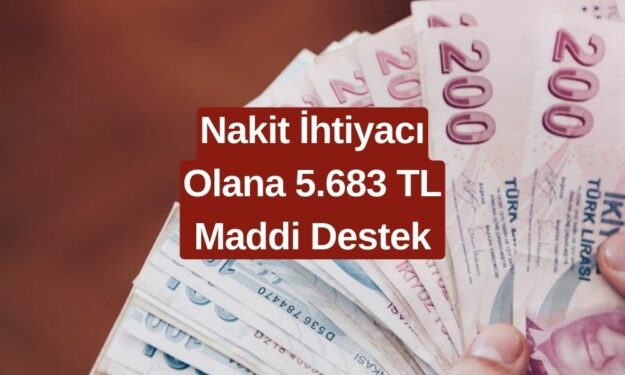 Acil Nakit İhtiyacı Olanlar Dikkat! 5.683 TL Destek Ödemesi Hesabınıza Yatıyor