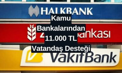 Kamu Bankalarından Vatandaşlara 11.000 TL Destek Müjdesi! Ödeme Anında Yatıyor