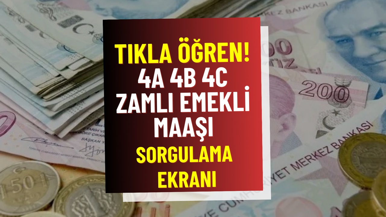 SSK, BAĞ-KUR, 4C Zamlı Emekli Maaşı Sorgulama Ekranı! E-Devlet Kök Maaş Bilgisi