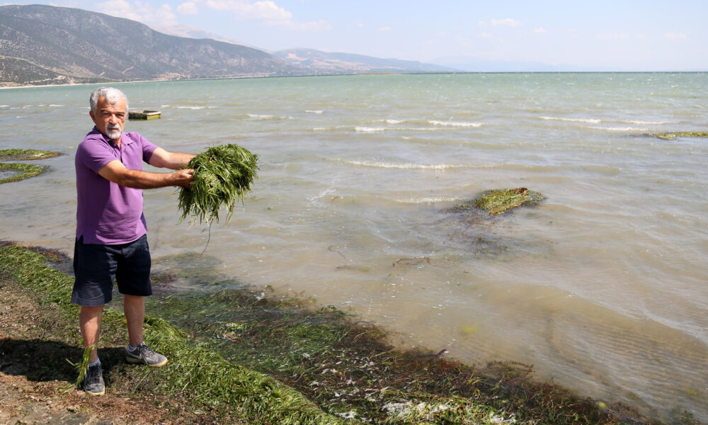 Bu İllerde Yaşayanlara FAİZSİZ KREDİ Verilecek! Yeni İller Açıklandı