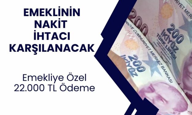 22 Bin TL ödeme yatacak! Emeklilere nakit kampanyası başvurusu açıklandı! TC kimlik ile hemen alın