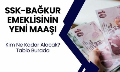 SSK, BAĞ-KUR VE EMEKLİ SANDIĞI MAAŞLARI BELLİ OLDU! 10-11-12-13 bin alan emeklilerin maaşı ne kadar arttı? İşte, 2024 4A-4B-4C emekli maaş hesaplama tablosu!